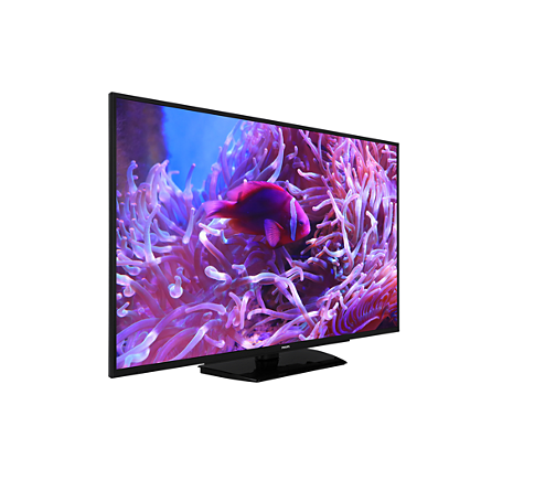 Philips Téléviseur professionnel 55"